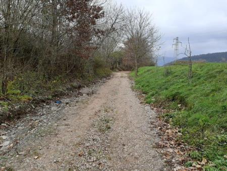 Gornja Košana pot z Brežja J del